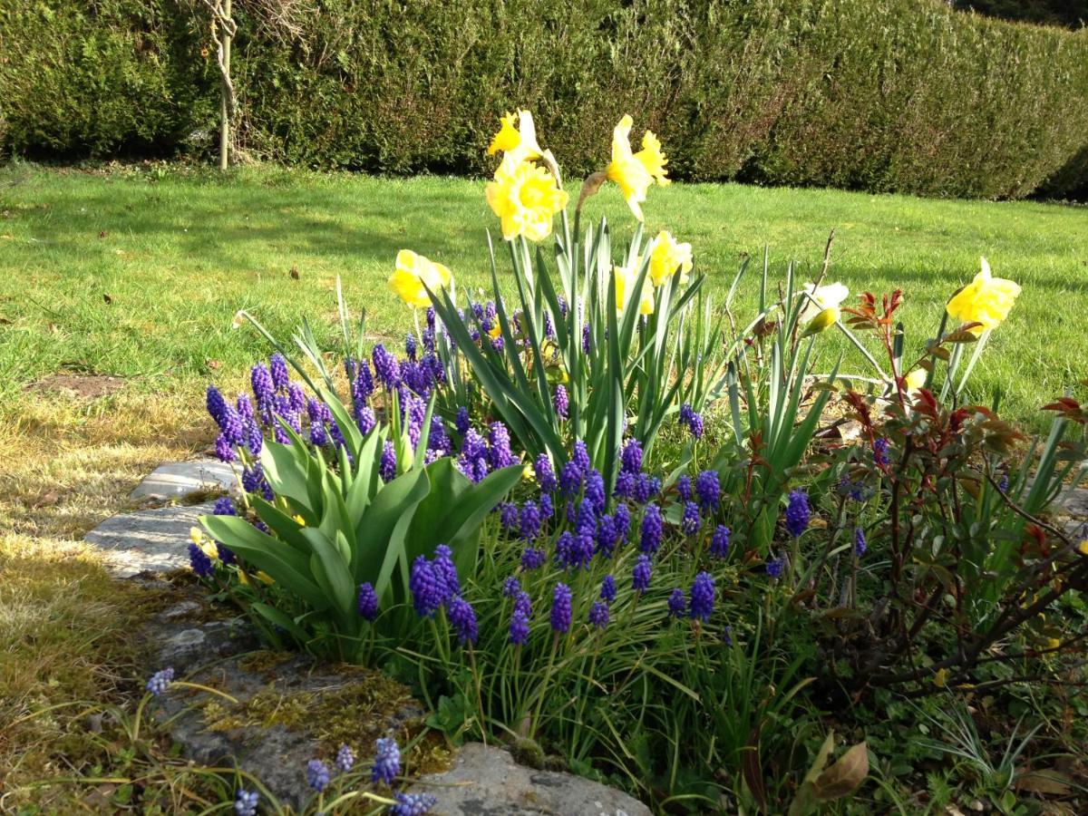 Bed and Breakfast l'Atelier au jardin d'Isabelle Fatouville-Grestain Exterior foto