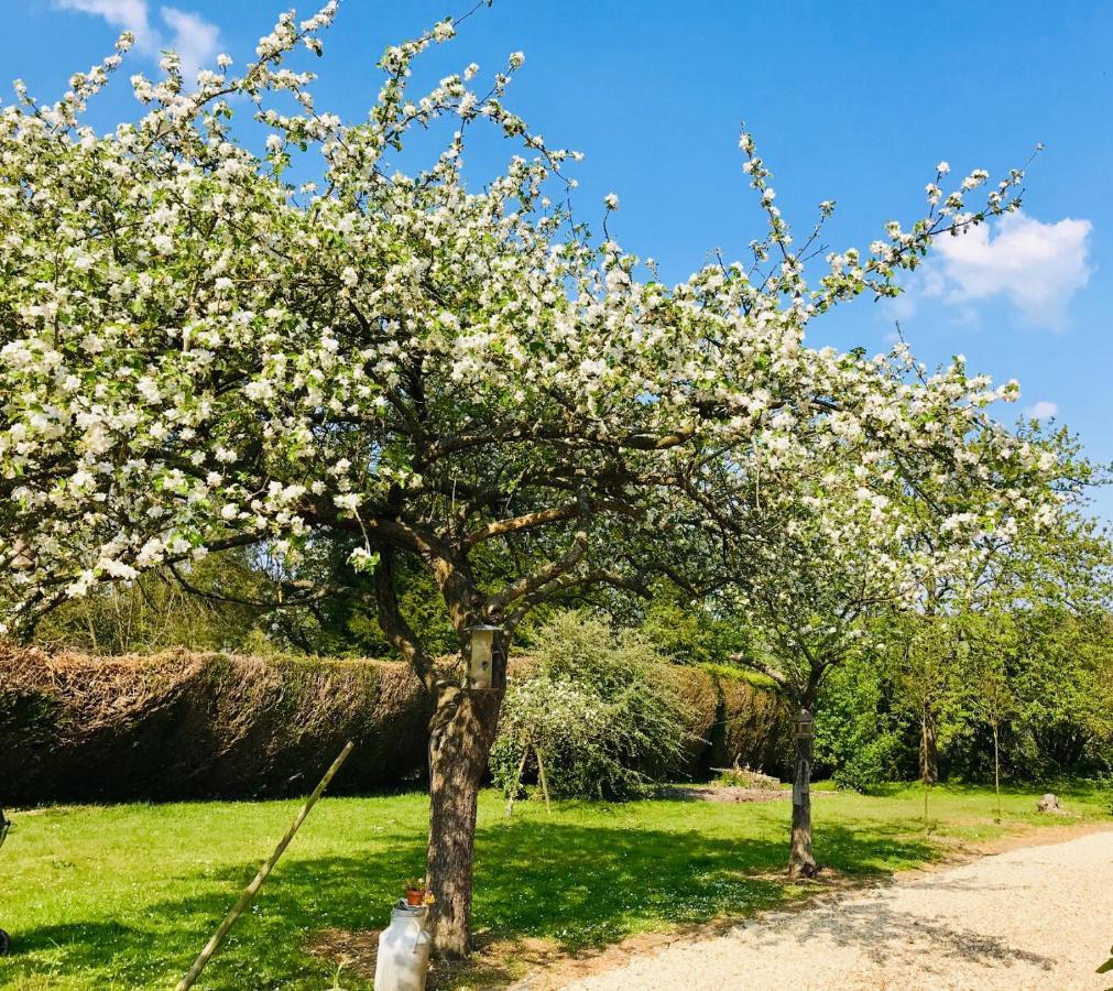 Bed and Breakfast l'Atelier au jardin d'Isabelle Fatouville-Grestain Exterior foto